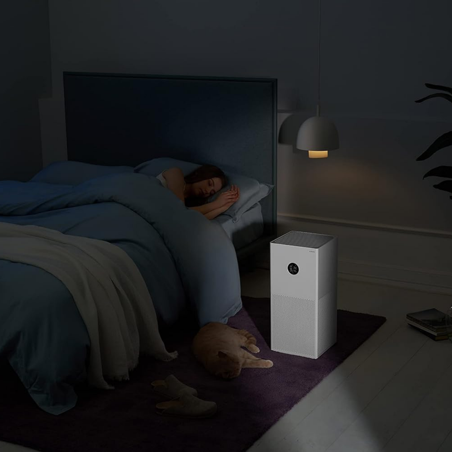 Smart Air Purifier 4 Lite